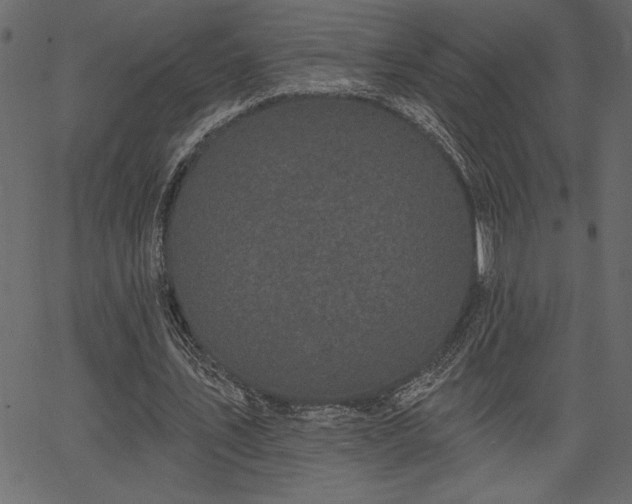 X0000067390579200603311301