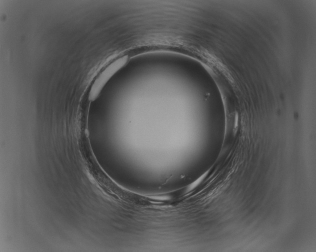 X0000067390580200603311301