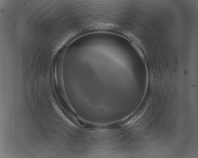 X0000067390581200603311301