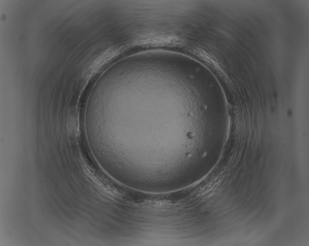 X0000067390582200603311301