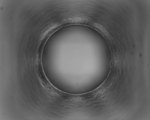 X0000067390583200603311301