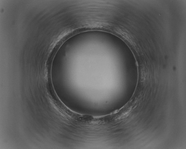 X0000067390584200603311301