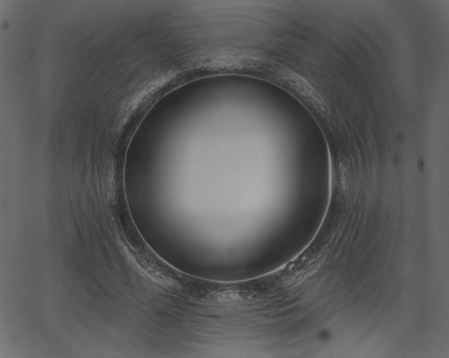 X0000067390588200603311301