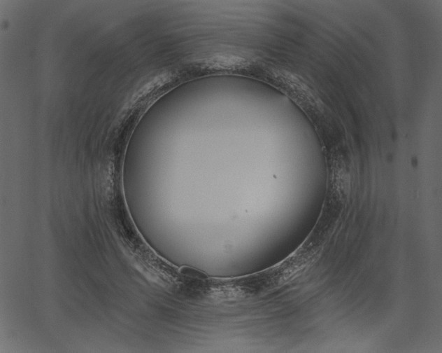 X0000067390591200603311301