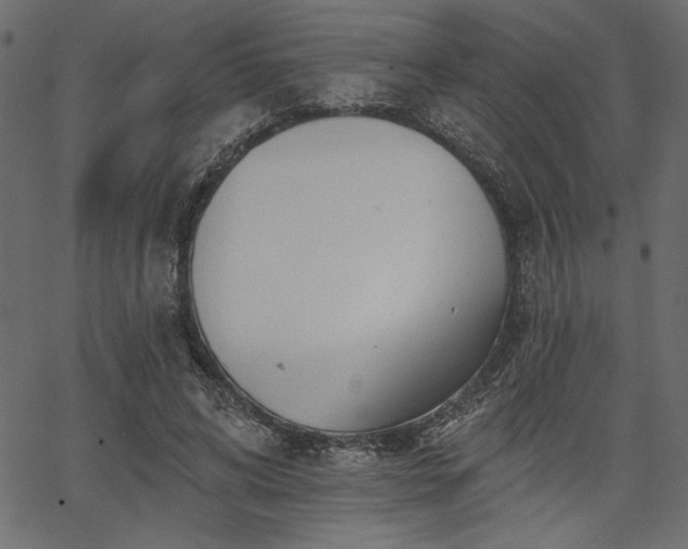 X0000067390592200603311301