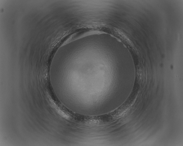 X0000067390593200603311301