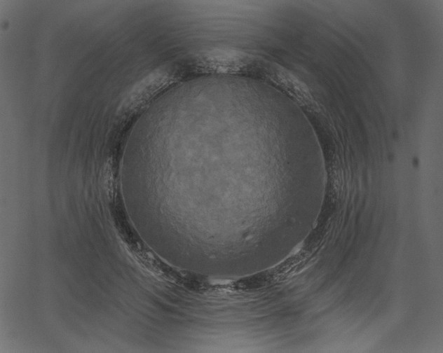 X0000067390594200603311301