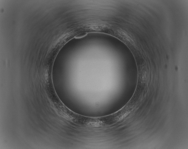 X0000067390595200603311301