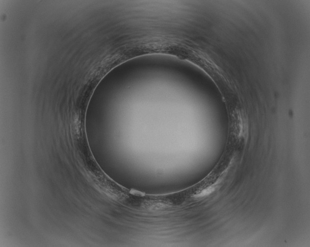 X0000067390597200603311301