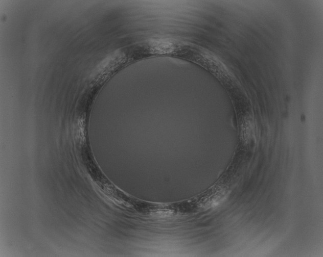 X0000067390598200603311301