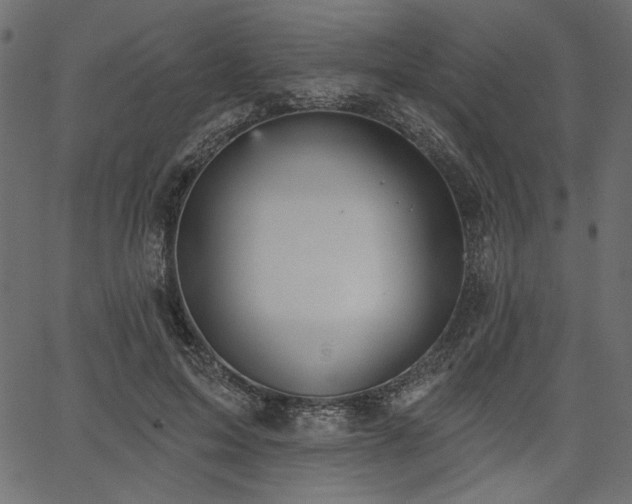 X0000067390599200603311301