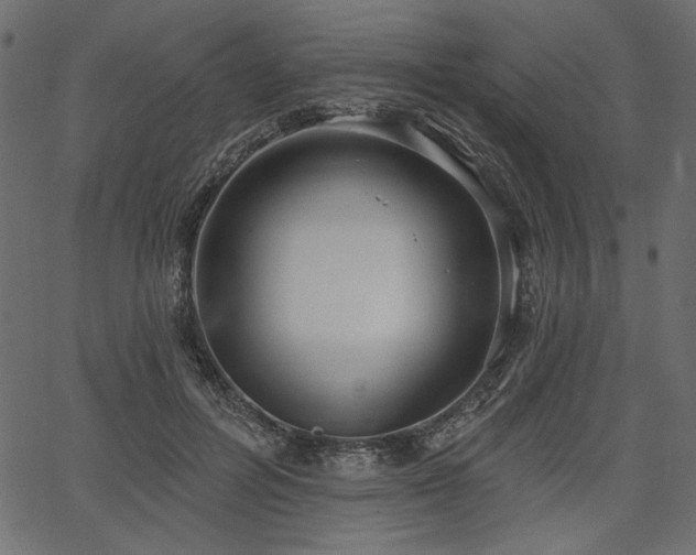 X0000067390600200603311301