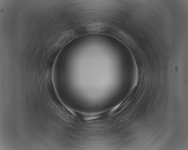 X0000067390601200603311301