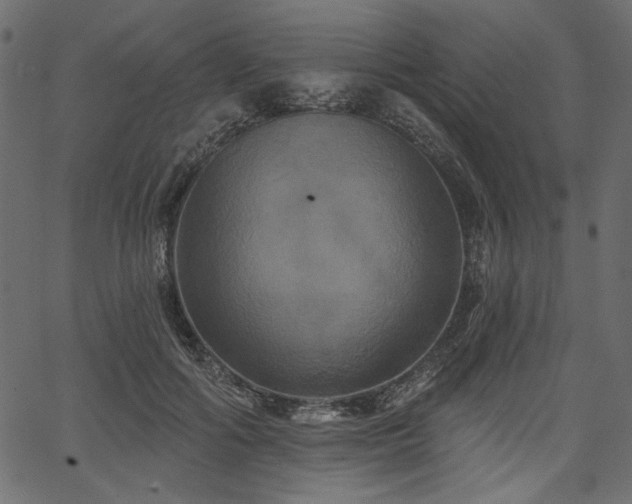 X0000067390602200603311301