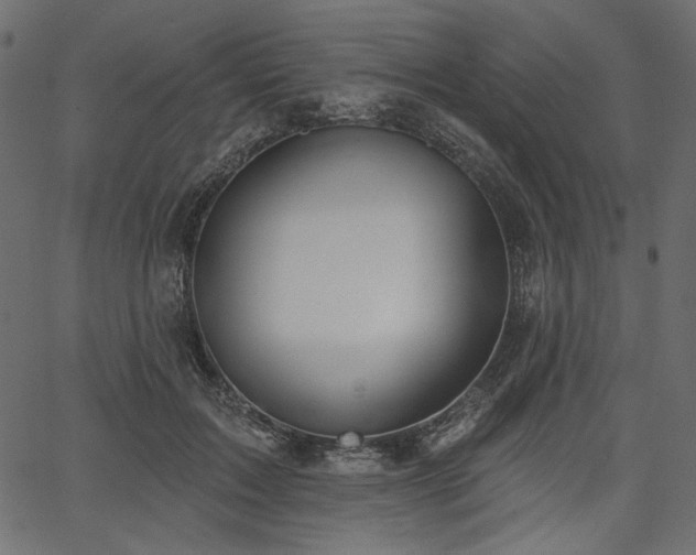 X0000067390603200603311301