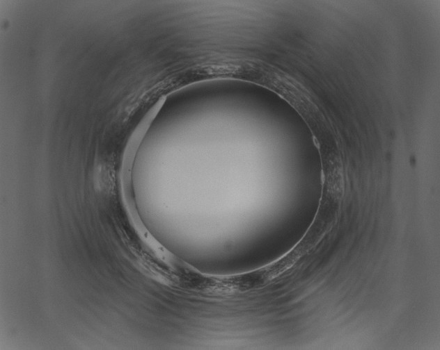 X0000067390604200603311301