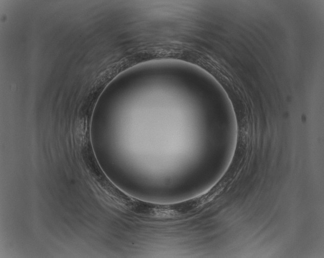 X0000067390605200603311301