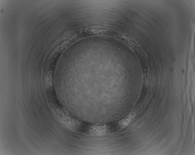 X0000067390606200603311301