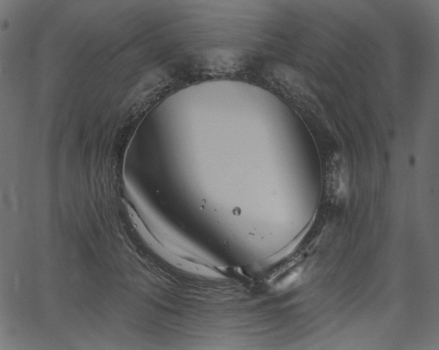 X0000067390608200603311301