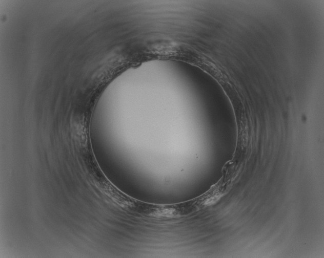 X0000067390609200603311301