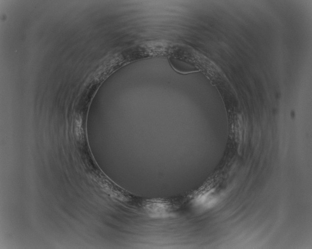 X0000067390610200603311301