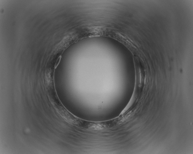 X0000067390611200603311301