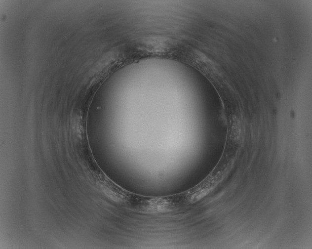 X0000067390612200603311301