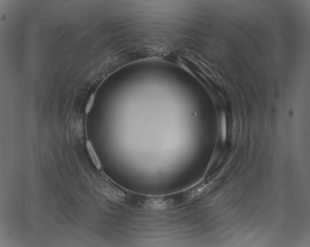 X0000067390613200603311300