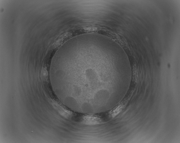 X0000067390614200603311300