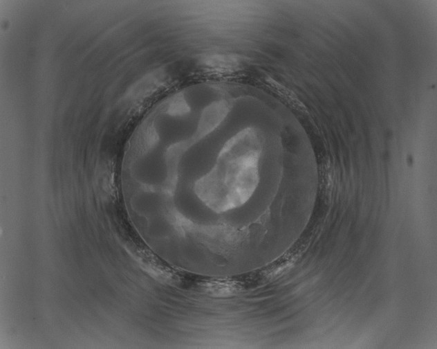 X0000067390615200603311300