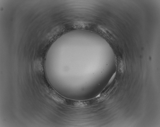 X0000067390616200603311300