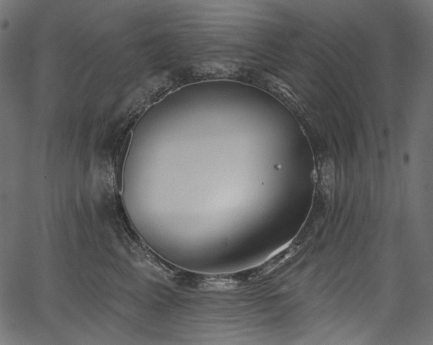 X0000067390617200603311300