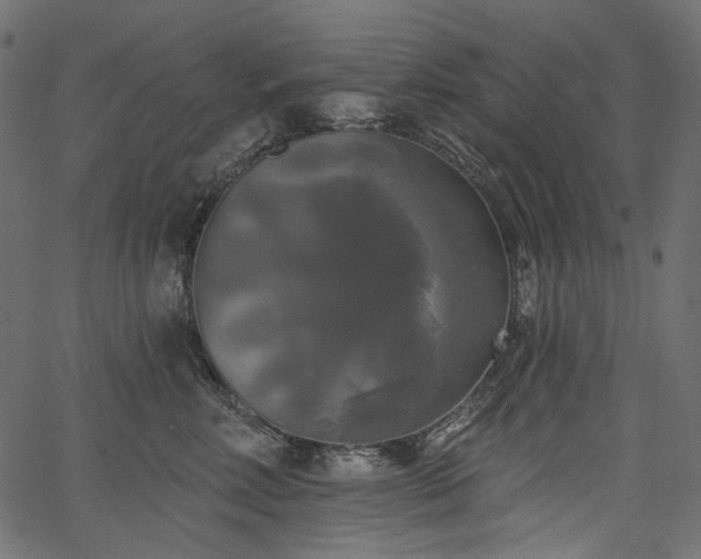 X0000067390618200603311300