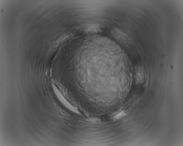 X0000067390619200603311300