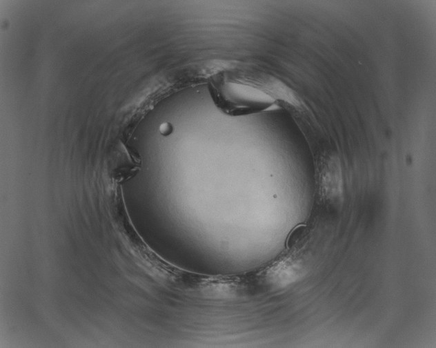 X0000067390620200603311300