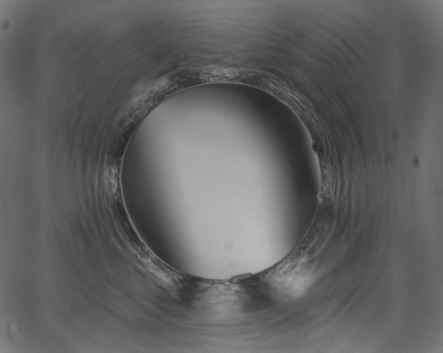 X0000067390621200603311300