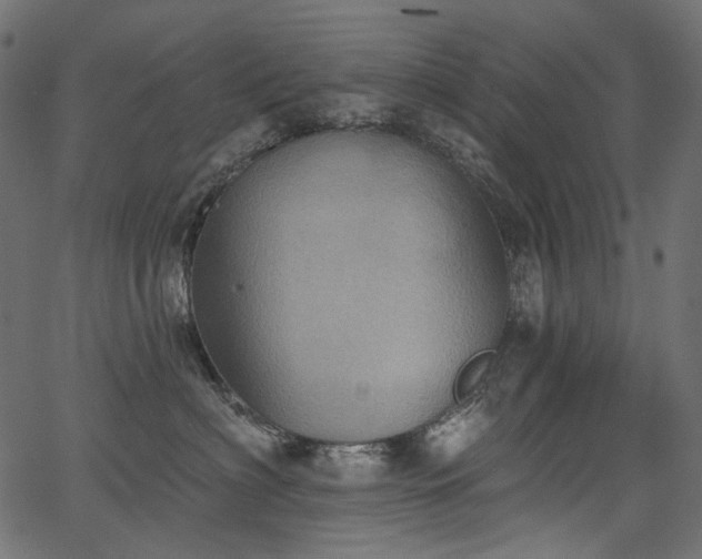 X0000067390622200603311300