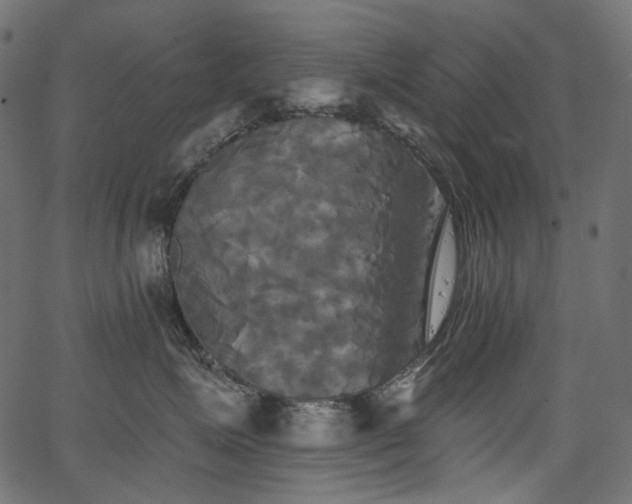 X0000067390623200603311300