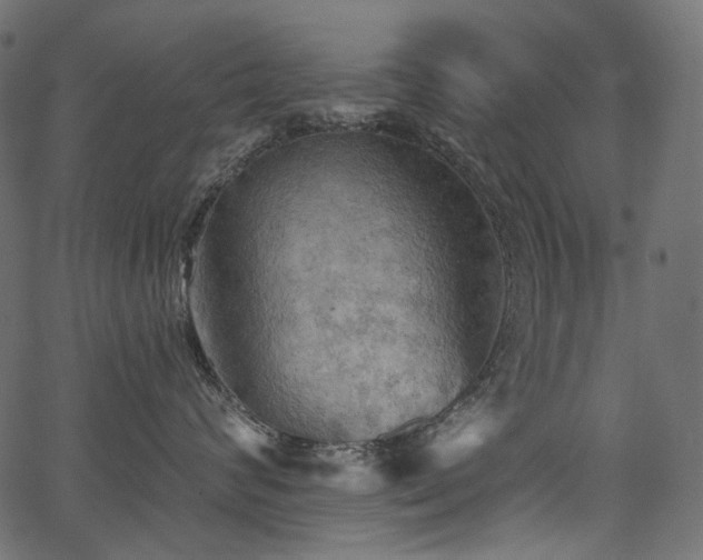 X0000067390624200603311300