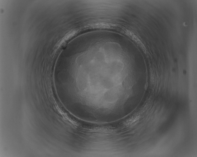 X0000067390625200603311300