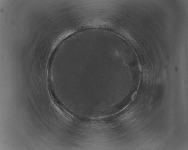 X0000067390626200603311300