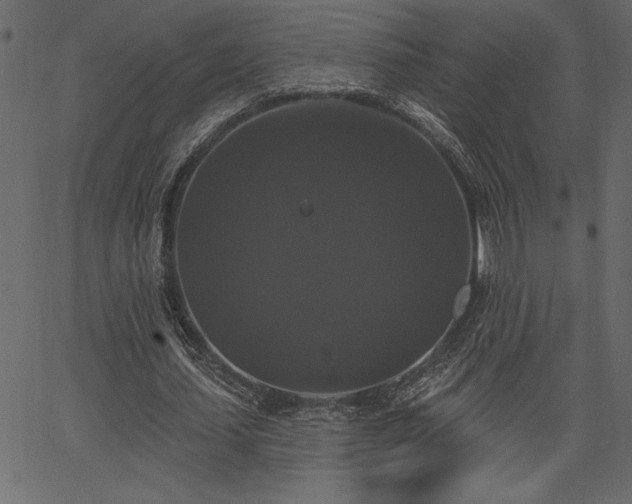 X0000067390627200603311300