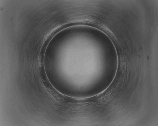 X0000067390628200603311300