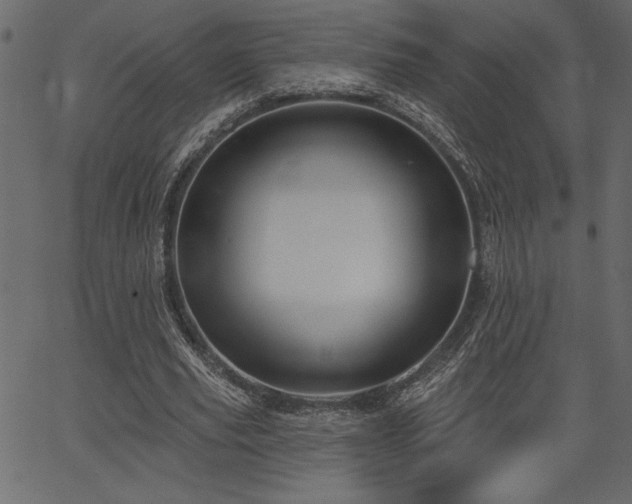 X0000067390629200603311300