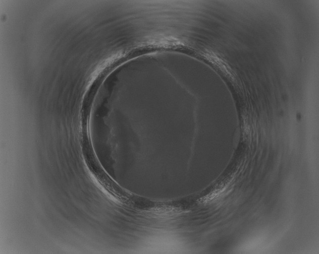 X0000067390630200603311300