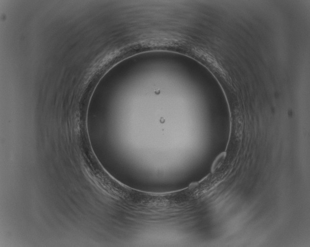 X0000067390631200603311300