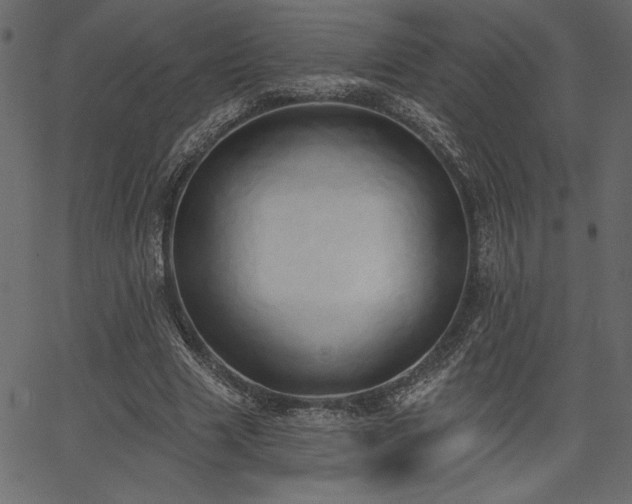 X0000067390633200603311300