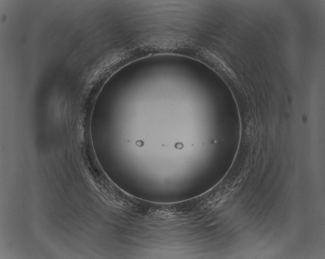 X0000067390635200603311300