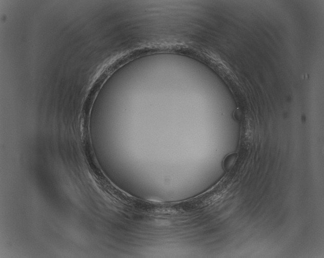 X0000067390636200603311300