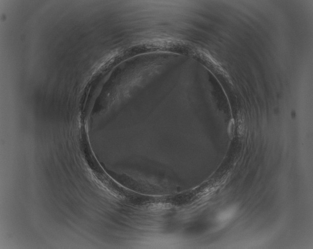 X0000067390637200603311300